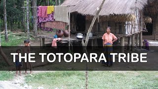 The Deep Secrets of Totopara Tribe | বিলুপ্তির পথে এই উপজাতি