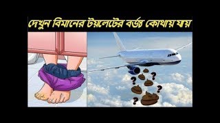 বিমানের  যাত্রীরা  কোথায় কিভাবে টয়লেট করে জানলে অবাক হবেন-Aircrapt's passenger toilet information