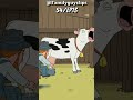 Happy Peter 🐄 | Family guy Funny moments !!