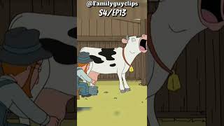 Happy Peter 🐄 | Family guy Funny moments !!