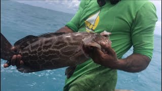 Que peixe é esse ? Duvido você saber ! Pesca artesanal pesca sustentável !