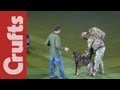 RAF Display - Day 4 - Crufts 2012