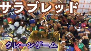 クレーンゲームでサラブレッドのぬいぐるみにチャレンジしました！