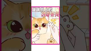 猫咪身上居然自带隐藏开关⁉️一键变老实 #猫咪 #养猫人 #新手养猫 #养猫经验分享