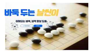 타이젬 1급에서 1단 만들기 프로젝트-4 (바둑복기영상)