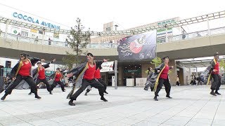 「豊川乱部隊「狐凰」」のんほいよさこい2019【駅南口広場】