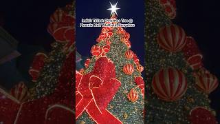 Phoenix MarketCity Bangalore | Christmas Decoration 2024 | Merry Christmas