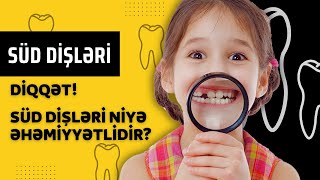 Süd dişlərinin əhəmiyyəti. Dişlər ağıza nə zaman çıxır ? | Diş məsələsi #10 #dismeselesi