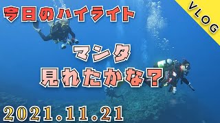 【VLOG】マンタ見れたかな？　　　　　（ダイビング　石垣島）