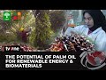 The Power of Oil Palm: A Sustainable Solution for The World's Future | tvOne