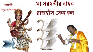 দেবী সরস্বতীর বাহন রাজ হংস কেন হল