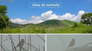 山の天気は Clima de montaña