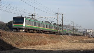 宇都宮線(東北本線) E233系3000番台 蓮田～東大宮