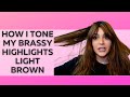 How To Tone Brassy Highlights Light Brown (DIY for Dark Brown hair)