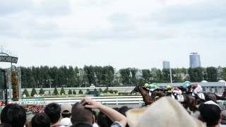 2016 Sapporo Racecourse Goal 札幌競馬場ゴール前