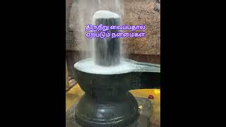 திருநீறு  வைத்தால் பல நன்மைகள் கிடைக்கும் #sivan #devotional #விபூதி #திருநீறு