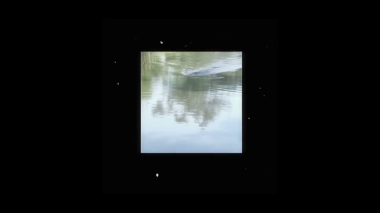 Flash Warning Youtube