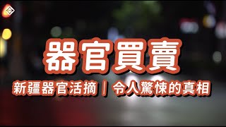 【台灣人須知】新疆器官買賣｜中共不想讓你知道的真相