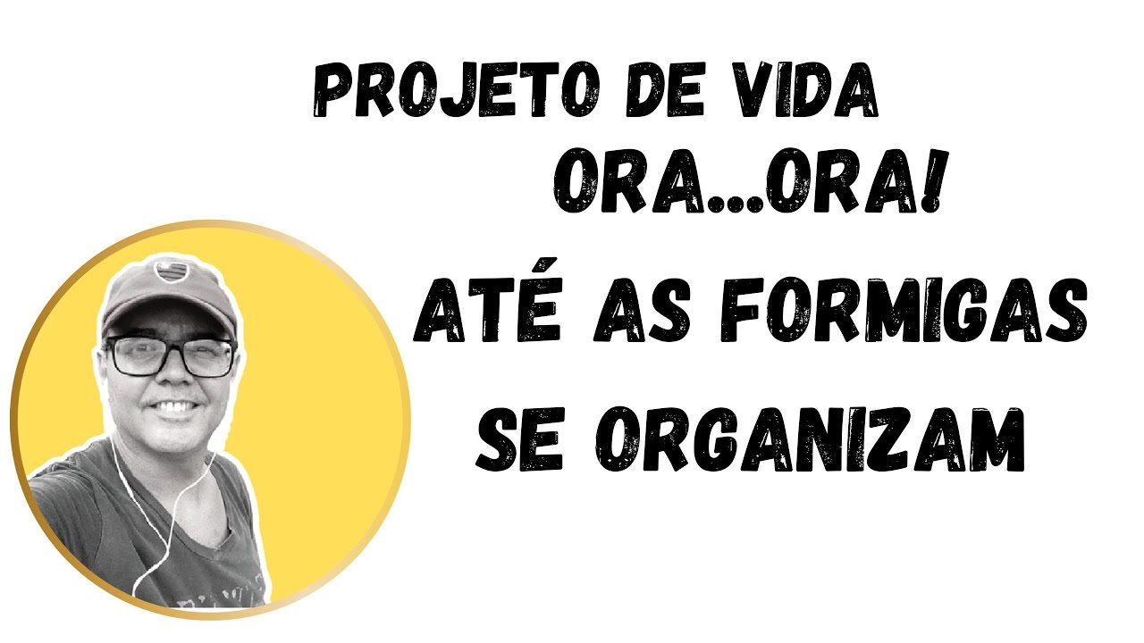 ATÉ AS FORMIGAS SE ORGANIZAM. PROJETO DE VIDA - YouTube