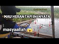 SUNGGUH TAK MENGIRA NASIBKU SEBERUNTUNG INI MANCING DI DANAU || MANCING MANIA