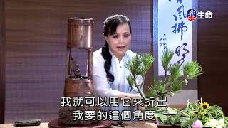 佛心花海_願力_李麗淑老師_(lifetv_20201011_11：00)