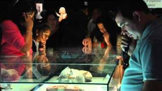 Body Worlds - The original exhibition