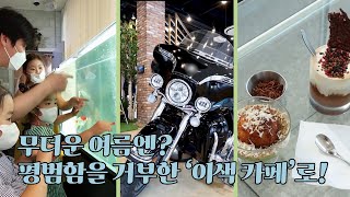 무더운 여름엔? 평범함을 거부한 ‘이색 카페’로! | 생생투데이 사람과 세상, (KBS 2022.07.29, 금 방송)