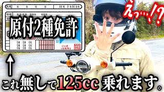 【マジです】普通・原付免許で125ccに乗れる⁉50ccが消滅⁉【2025年新原付一種】最新情報と問題点解説❗