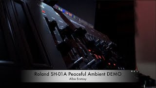 Roland SH-01A - a Peaceful Ambient DEMO