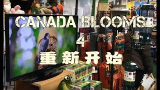 [石针养花]加拿大园艺展Canada Blooms 2018 - 4 - 重新开始！