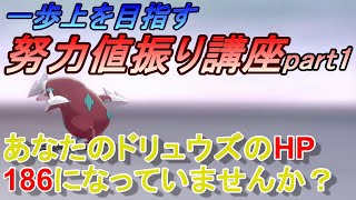 【ポケモン剣盾】一歩上を目指す努力値振り講座１【奇数調整】