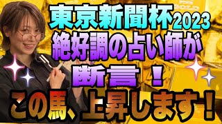 【東京新聞杯2023】絶好調の占い師が断言！この馬、上昇度半端ない！