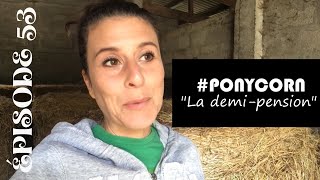 Série #ponycorn 🐴| La DEMI-PENSION, la \