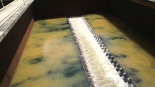 Filter backwash with air and water