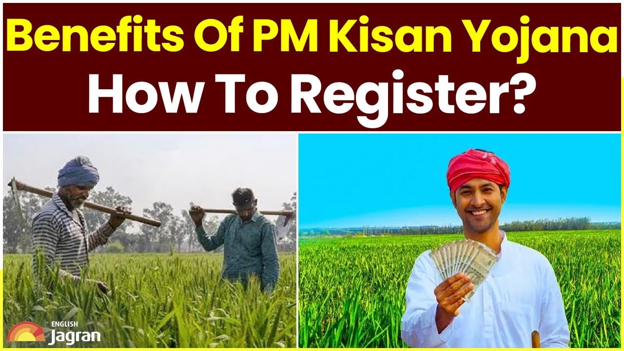 Pm Kisan Yojana Know The Benefits And The Process Of Registration
