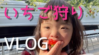 家族でいちご狩りに行って食べまくりました！【VLOG】