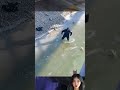 emotional rescue man saves dog from freezing icy river rescuedog shorts viralvideo videoshorts