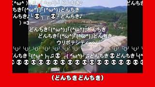 【🐷🐼ニコニコ墨田民空耳班北朝鮮音楽】朝鮮は決心すればやる【パンダ猟】