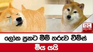 ලෝක ප්‍රකට මීම් තරුව චීම්ස් මිය යයි...