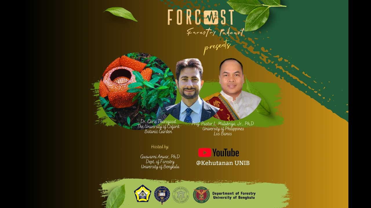 Forestry Podcast Forcast Youtube