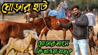 ঘোড়ার হাট । ঘোড়ার দাম কত ? বাংলাদেশে ঘোড়ার সম্ভাবনা❤️❤️