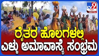 Yellamavasye: ಬಾಗಲಕೋಟೆ ಜಿಲ್ಲಾದ್ಯಂತ ಜಮೀನುಗಳಲ್ಲಿ ಎಳ್ಳು ಅಮಾವಾಸ್ಯೆ ಹಬ್ಬದ ಸಂಭ್ರಮ   | #TV9D