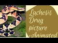 Lachesis Drug picture