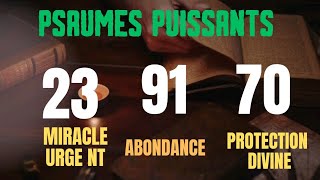 3 PRIÈRES du soir : protection, abondance et Miracle Urgent. psaumes 23, 70 et 91. 29 janvier 2025