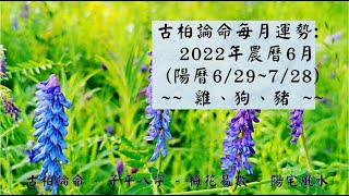 【古柏論命每月運勢】2022年農曆6月(陽曆6/29 ~ 7/28)生肖運勢分享 -  雞、狗、豬