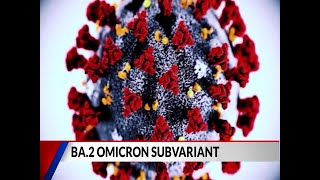 Subvariant of Omicron now recorded