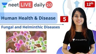 NEET: Human Health and Disease - L5 | Class 12 | Live Daily 2.0 | Unacademy NEET | Seep Ma'am