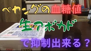 ペヤング生アボカドで血糖値抑制できる？