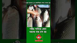 গভীর পুকুরে মাছ চাষ #shakibagro #fish #মাছচাষ #মাছেরখাদ্য #fishculture #গভীরপুকুরেমাছচাষ #অগভীরপুকুর