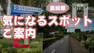 多摩湖自転車歩行者道の直線部の必見スポットを地元サイクリストがゆるポタで紹介